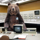 Illustration for article titled Were in a Technological Arms Race with Bears for Our Food